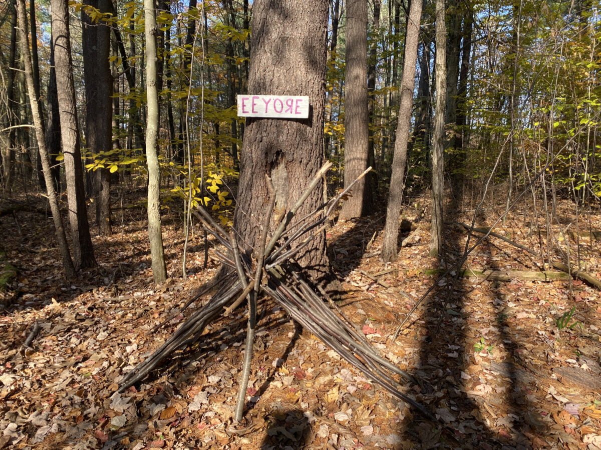 Hiking the 100 Acre Woods in Malta, NY Malta Elements at Luther Forest