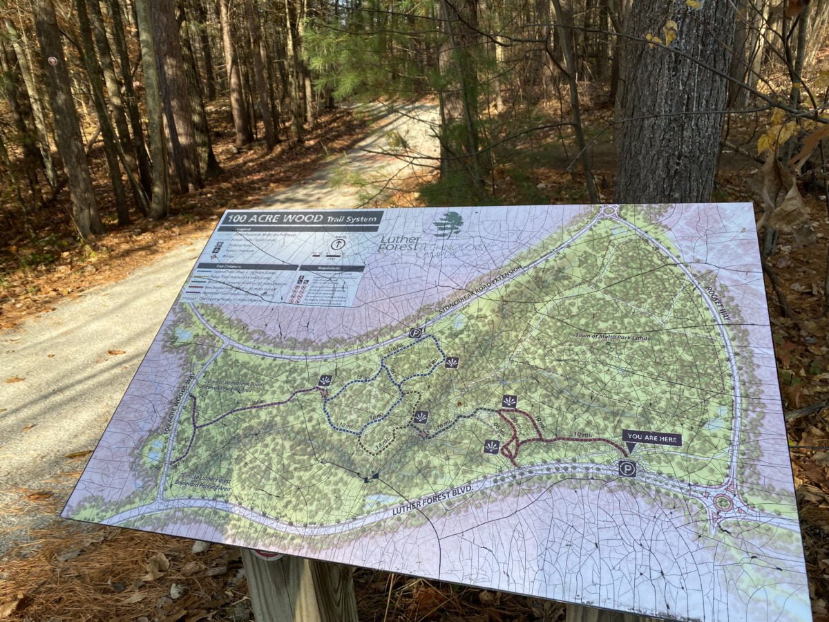 Hiking the 100 Acre Woods in Malta, NY Malta Elements at Luther Forest