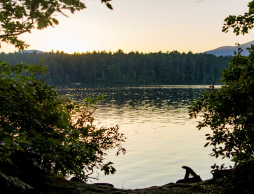 The Allure of Saratoga Springs: Living the Lake Life