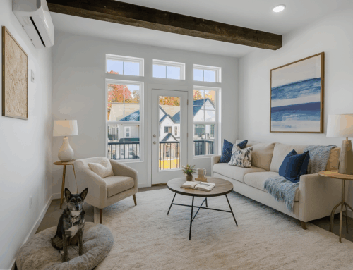 Apartment Living with Pets: Tips for a Happy, Pet-Friendly Home